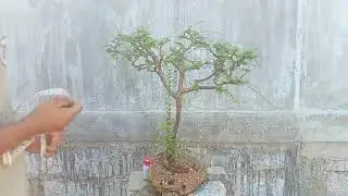 M690...sơn liễu  ..200k...lh 0963671126 tr&iacute;