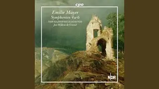 Symphony No. 4 in B Minor (Reconstructed by Andreas N. Tarkmann) : II. Adagio