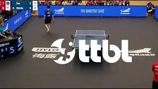 Fan Zhendong - Olympic table tennis champion. My role model, I admire his perseverance and courage.