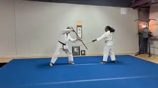 13 JO KATA - Modified for partner practice at Zanshin Aikido School