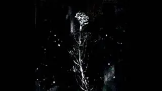 Bones\Pharaoh\Lil peep\Mortem Type beat