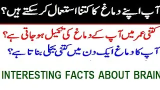 Interesting Facts about your brain.