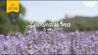 LAVANDISSIMA 2025 - 12 JUILLET - 4 ÈME ÉDITION !