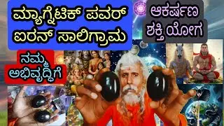 Magnetic 🧲 power Iron Store Shiva Saligrama Padhma Lakshmi Vishnu Brahmi Shathi Yanthra thanthra ma