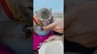 Шалли, береги себя, мама 😘