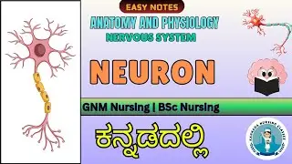 Structure Of Neuron In Kannada | Nervous System In Kannada | Anatomy And Physiology In Kannada