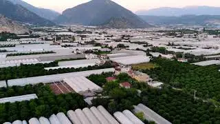 Portakal Bahçeleri ve Seralar | Sahilkent - Finike - ANTALYA 🎥