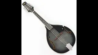 Dark Gray Finish A-Style Mandolin (M-8BK) #mandolin #mandolininstrument #ppeq #ppeqmandolin