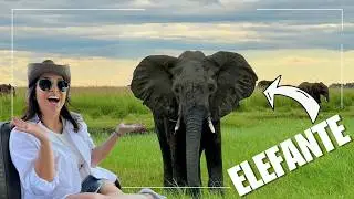 EP7. SAFARI NA BOTSWANA, Chobe National Park. Assista at&eacute; o final.