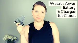Wasabi Power Battery (2-Pack) & Charger for Canon BP-827 & Canon VIXIA HF20,HF21,HF200,HF G10,HF G20