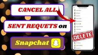 Comment annuler toutes les demandes d'amis envoy&eacute;es sur Snapchat&nbsp;? | Annuler les demandes envoy&eacute;e...