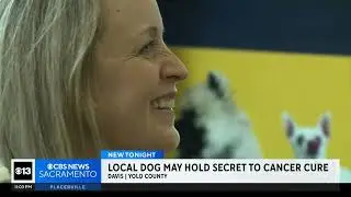 PET CANCER RESEARCH AIR AUGUST 27 2025