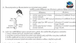 06 ශ්&zwj;රේණිය විද්&zwj;යාව පළමු වරාය ප්&zwj;රශ්නපත්&zwj;ර සාකච්ඡාව | SJI Education 