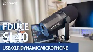 FDUCE SL40 dynamic microphone may be the best for your budget.