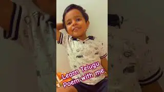 Learn Telugu poem Chitti Chilkamma with aadi#aadivideos#kidslearningvideos#telugupoems#kidspoemvideo