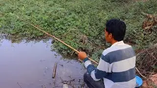 Best fishing for catfish by hook 2024
