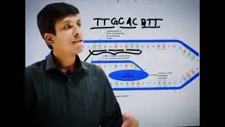 মা I Love You | Dr. Tofael Ahmed | DMC DREAMERS