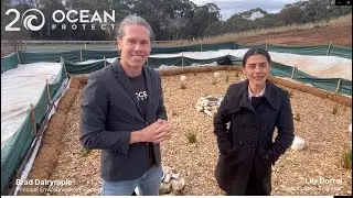 Inspection of Filterra bioscape at New Norfolk, Tasmania