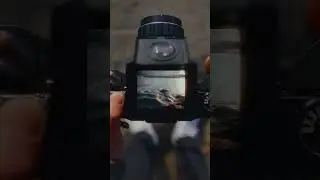 the world through the eyes of a photographer #shorts short