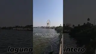 lugares que tienes que visitar en la laguna del carpintero #tampico #4k #travel #tour #tourism