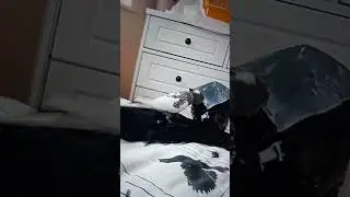 En sonunda yere d&uuml;ş&uuml;yoo😂😂🤣