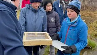 Brutboxen selbst herstellen und einsetzen - Bachforellen