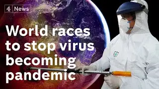 Coronavirus has 'pandemic potential', says World Health Organisation