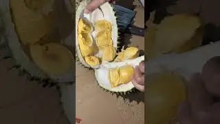 Durian kasongan👩&zwj;🎓 #cover #coversong #videos #durian #viral #video #viralvideo #viralshorts #fypシ