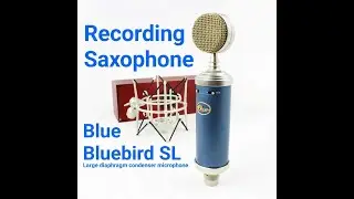 Recording Saxophone - Blue Bluebird SL microphone