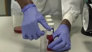 Algae Photosynthesis Experiement