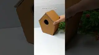 DIY Bird House 💖 #diy #craft #shorts #youtubeshorts #viralshorts #trendingshorts