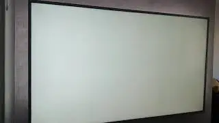 How to remove fly from your LCD TV monitor without taking all apart