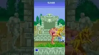 Cole&ccedil;&atilde;o Cl&aacute;ssica | Retro Games Com +19 Mil Jogos [+670GB]