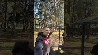 ПРИЕХАЛИ В ЛЕС НА ПРИРОДУ ПРАЗДНОВАТЬ 9 ДЕВЯТЬ ЛЕТ БЛОГЕРСКОЙ ДЕИТЕЛЬНОСТИ