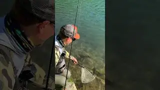 Trout fishing in Italian Apennines.  #fishing #fishingvideo #troutfishing t