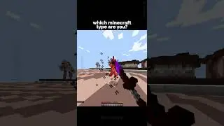 What Type Of Minecraft Player Are YOU? 🤔