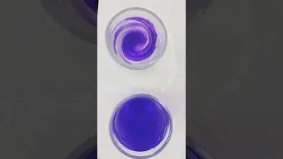 Easy Science Experiments l Why Neel Floats in Salt Water? | Density Science Experiment for Kids