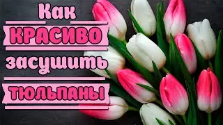 Как засушить цветы красиво?Тюльпаны плоская сушка в книге.