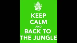 friends back in the jungle(Retype & Emiel Van Zon Mashup)
