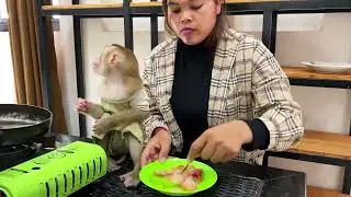 Copy of Bryan the monkey waits patiently for his food to finish cooking.