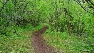 city creek mountain bike video therossshow
