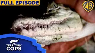 From Accidents to Crocodiles: Probie's Diverse Challenges on the Job | Territory Cops S01E02