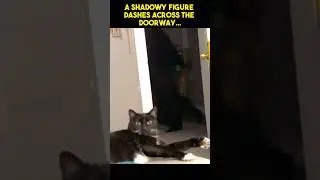 A Shadow Person Ran In Front Of Her!