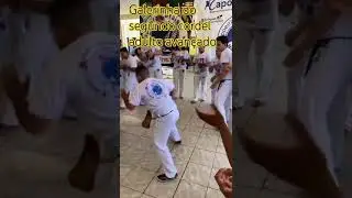 #capoeiragerais