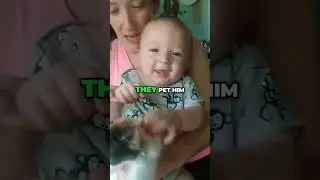 Adorable Baby Meets Curious Cat! 🐾👶