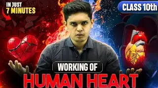 Working of Human heart life process class10th science prashant kirad 