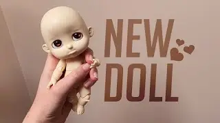 BJD Unboxing - Islandoll Bru