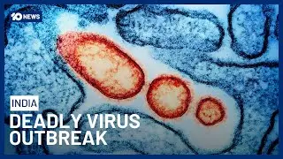 Outbreak of Deadly Nipah Virus Confirmed In India | 10 News