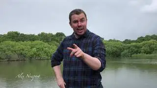Male Monologue - The Tempest - William Shakespeare - Act 2 Scene 2