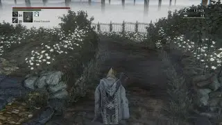 Bloodborne Part 15: Rom, The Vacuous Spider.
